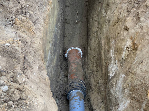 Best Sewage cleanup and water damage restoration  in Lakeside, CA