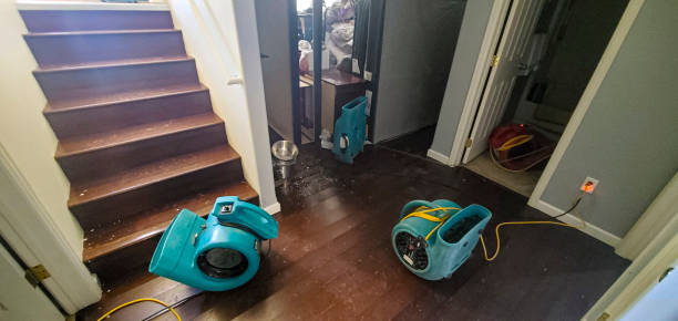 Best Water damage restoration near me  in Lakeside, CA