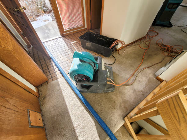 Best Flood restoration services  in Lakeside, CA