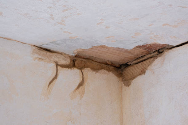  Lakeside, CA Water damage restoration Pros