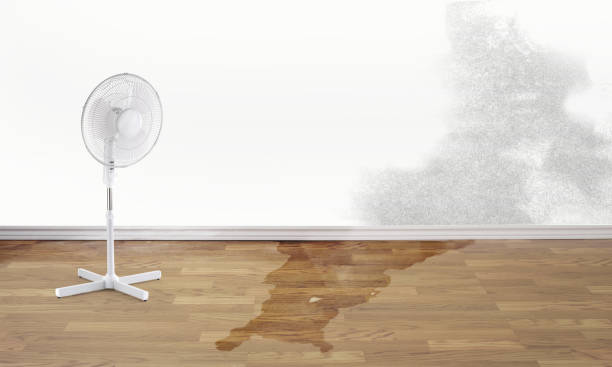 Best Emergency water damage restoration  in Lakeside, CA