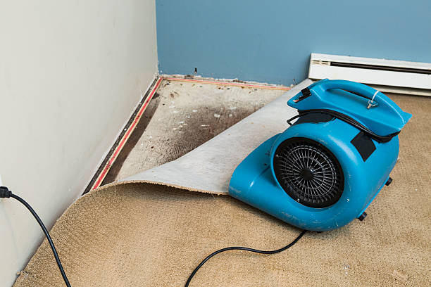 Best Professional water damage repair  in Lakeside, CA